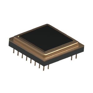 Detector